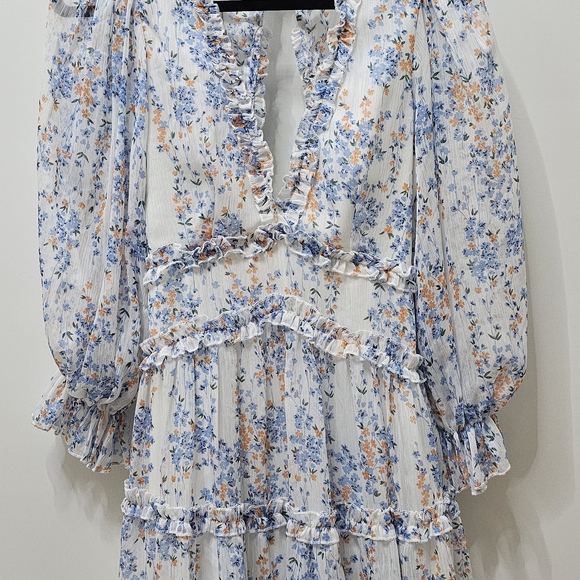 Floral Ruffle V-Neck Dress - Picture 4 of 6